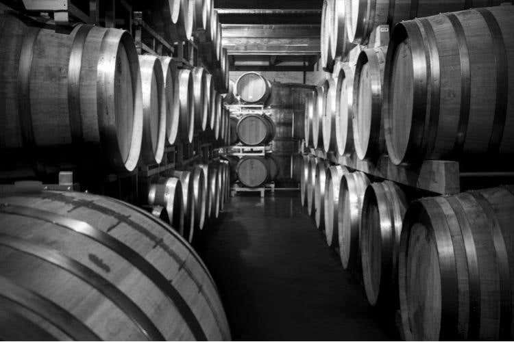 Bottaia Cantina Tollo